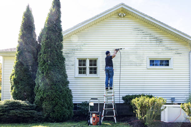 Reliable Jesup, GA Pressure washing Solutions